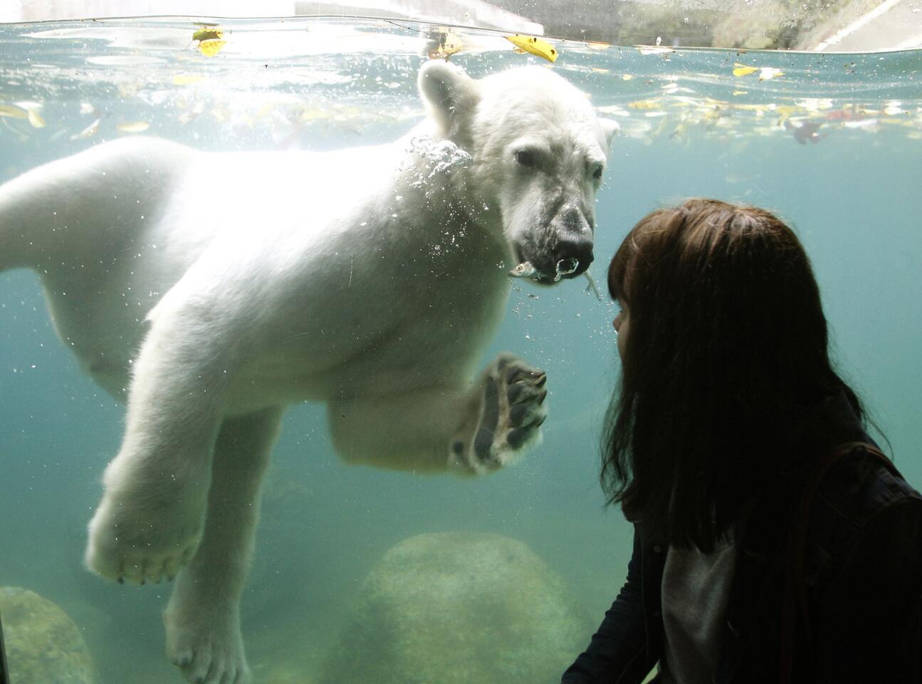 Zoological Gardens Wuppertal