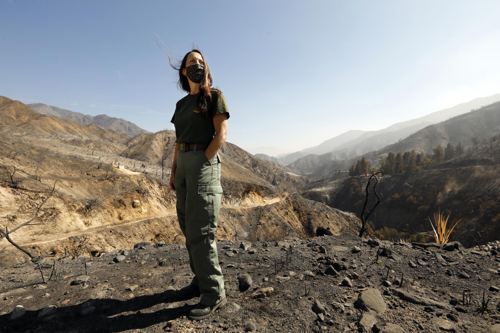 Wildlife biologist Ann Berkley stands in the burn scar of Bobcat fire in the San Gabriel Mountains.
