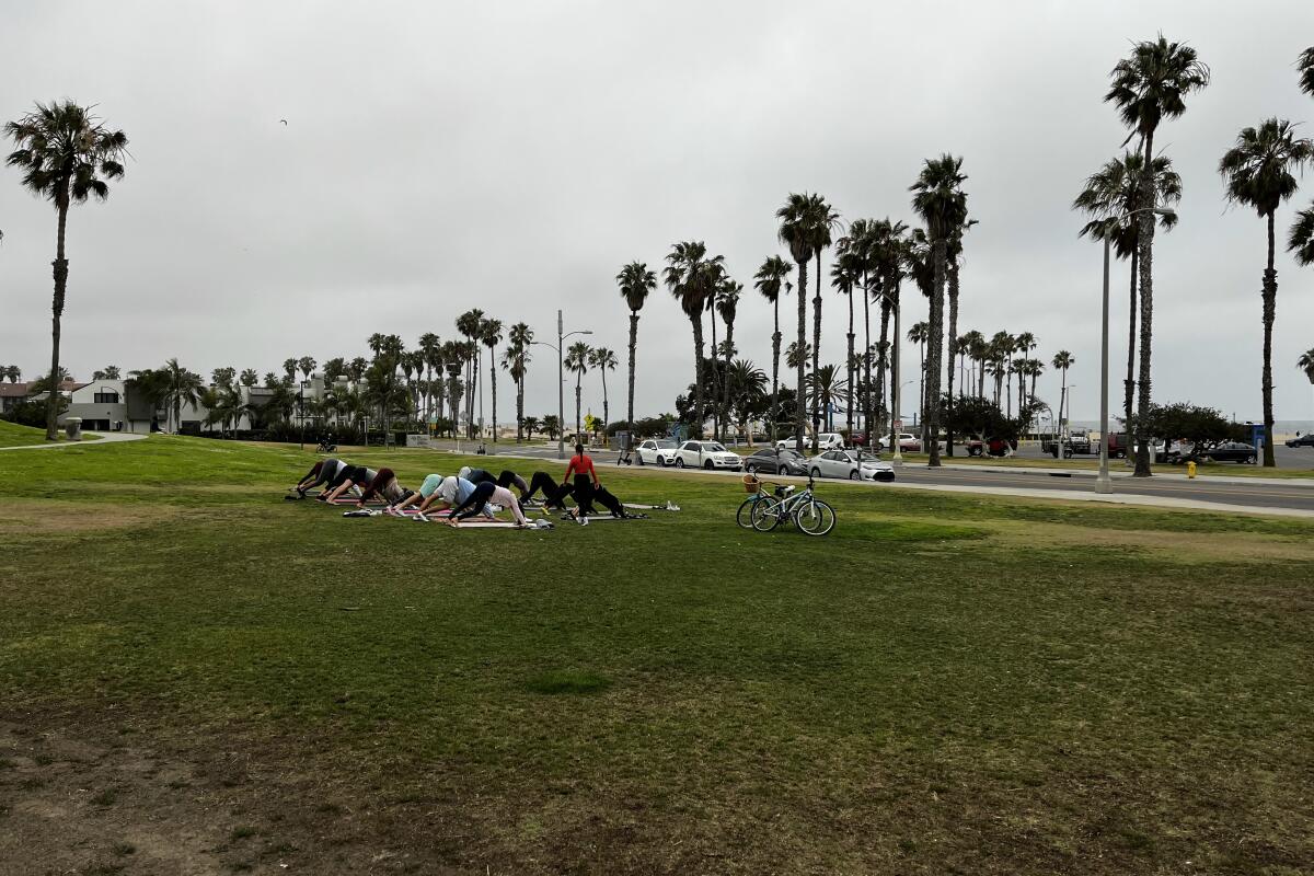 Participants practice downward dog during a sunset yoga class.