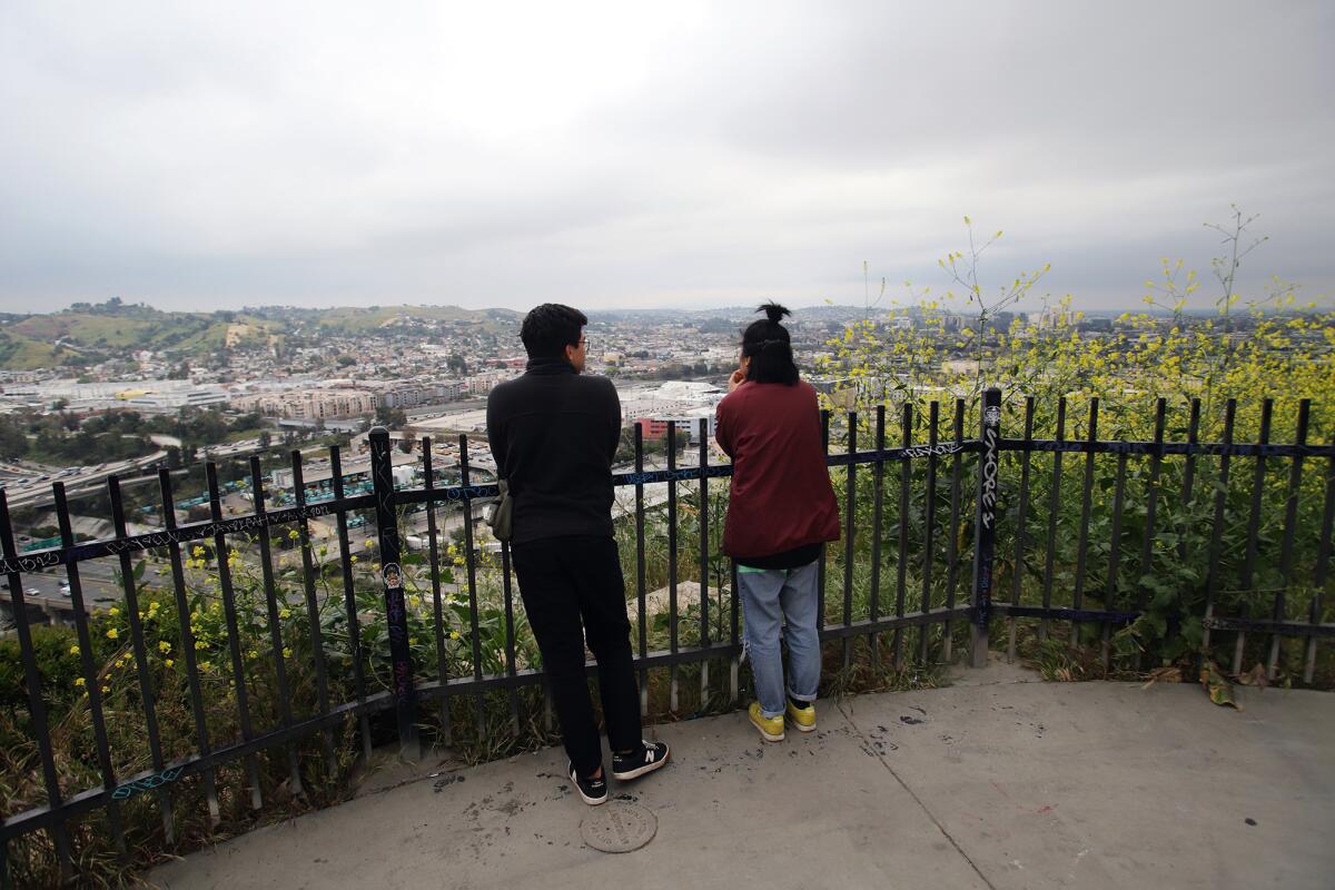 Two people stand at a fence, looking out at a view of Los Angeles.