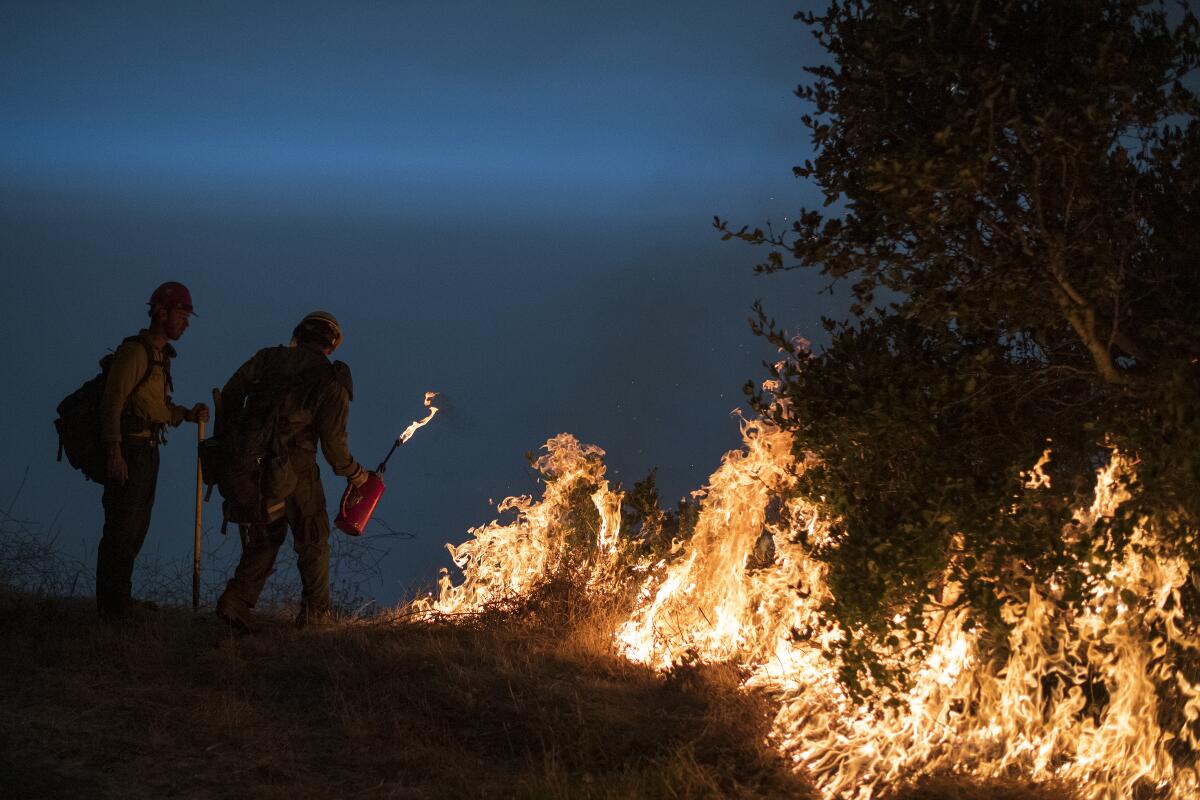 Firefighters light a controlled burn to help contain the Dolan Fire near Big Sur.