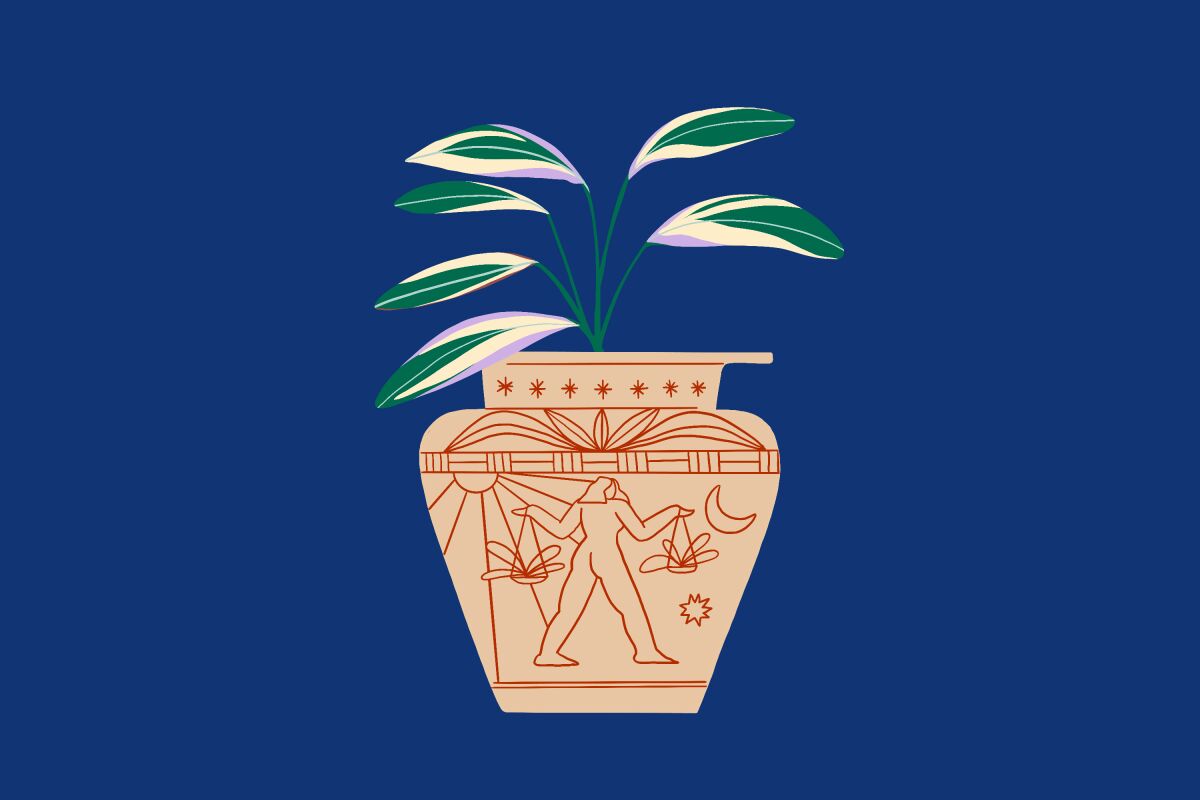 We've scouted out the best houseplant for your zodiac sign.