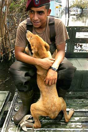 A member of the 82nd Airborne, E2 Efren Payan gets a hug from a dog he helped rescue from a home in central New Orleans. It continues to be a slow process convincing residents that they need to evacuate, especially when pets are involved.