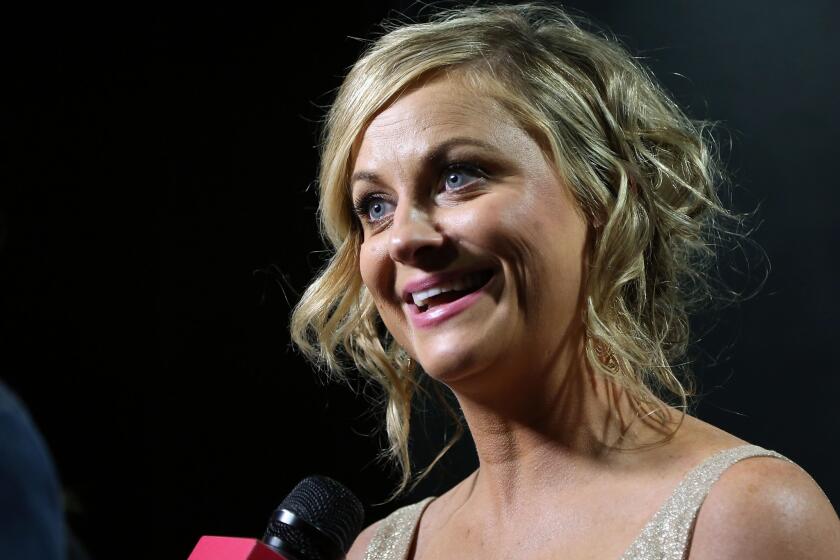 Amy Poehler is an executive producer on "Difficult People," a comedy for which USA has ordered a pilot presentation. Above, Poehler at an event this week in New York.
