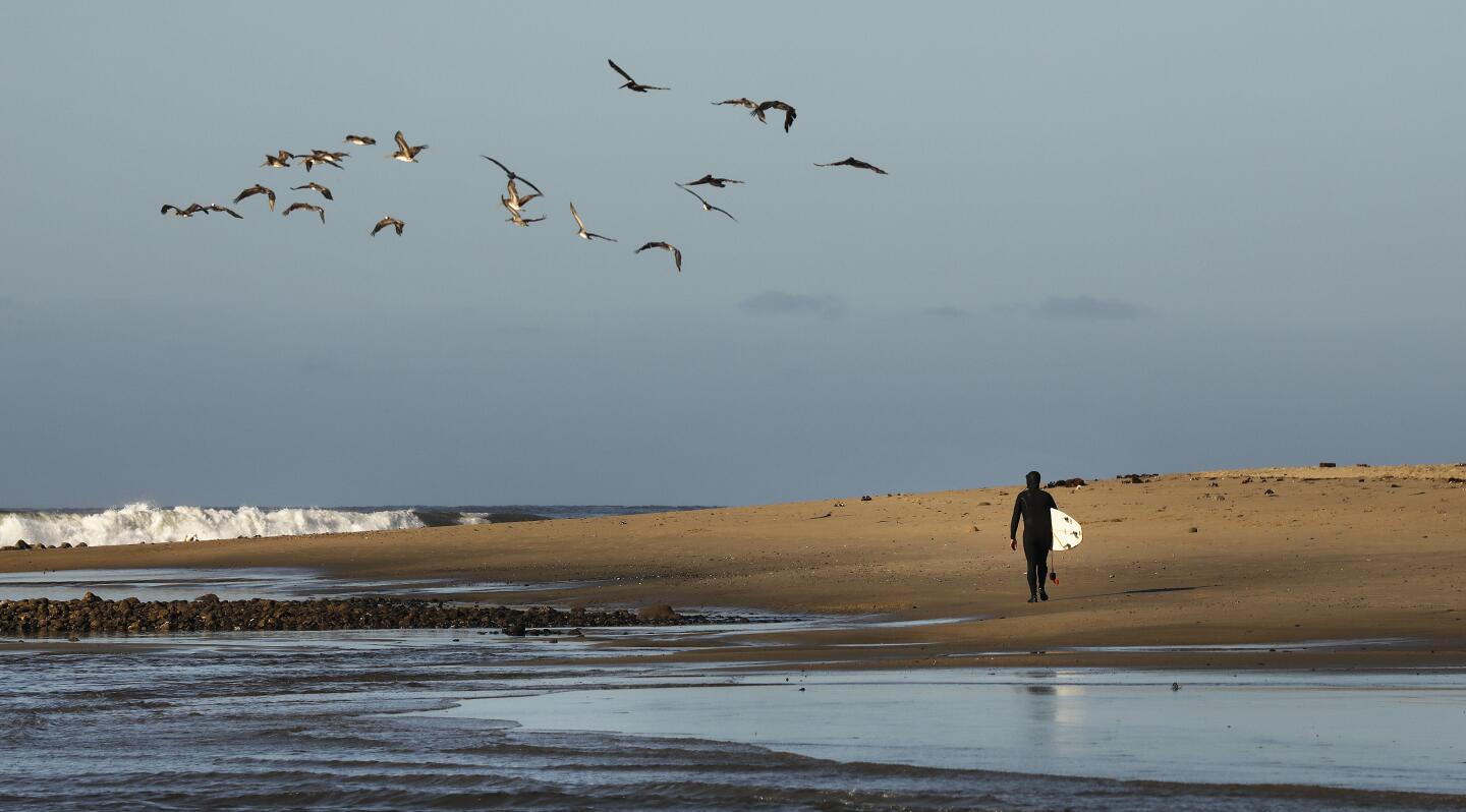 L.A. County beaches scheduled to reopen for active use