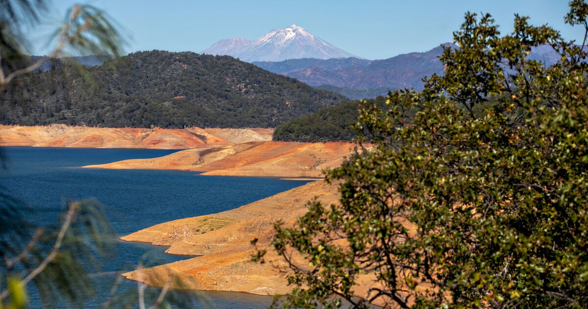 In a dramatic spike, 36.3 million trees died in California last year. Drought, disease blamed