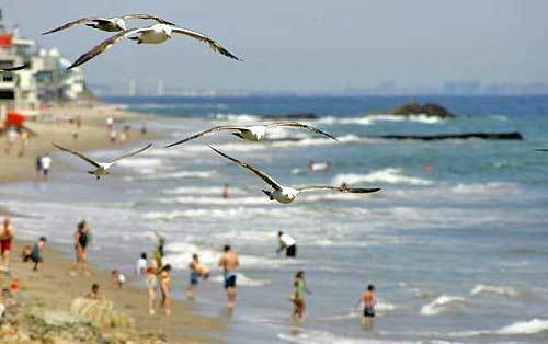 ON A CLEAR DAY: Birds' eye view of Puerco Beach in Malibu during Memorial Day weekend this year.