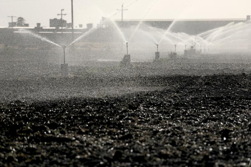 KINGSBURG, CA - APRIL 21: Irrigation along Bethel Ave. on Wednesday, April 21, 2021 in Kingsburg, CA. A deepening drought and new regulations are causing some California growers to consider an end to farming. (Gary Coronado / Los Angeles Times)