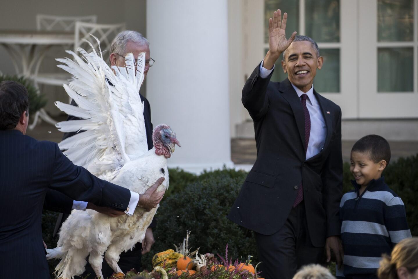 Obama perdonó la vida a dos pavos