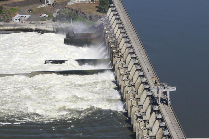 The Dalles Dam in June 2011 along the Columbia River in Oregon. For the first time in its history, the U.S. Army Corps of Engineers will have to disclose the amount of pollutants its dams are sending into waterways as part of a settlement of a lawsuit brought by environmental groups.
