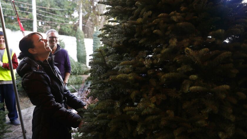 Sherri Marquez and her husband, John, shop for a Christmas tree at Todd's Christmas Trees in Long Beach on Nov. 29.