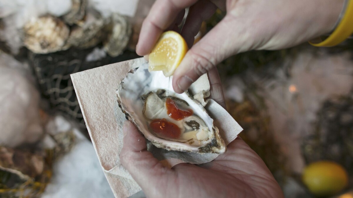 How to Shuck Oysters in 10 Easy Steps!