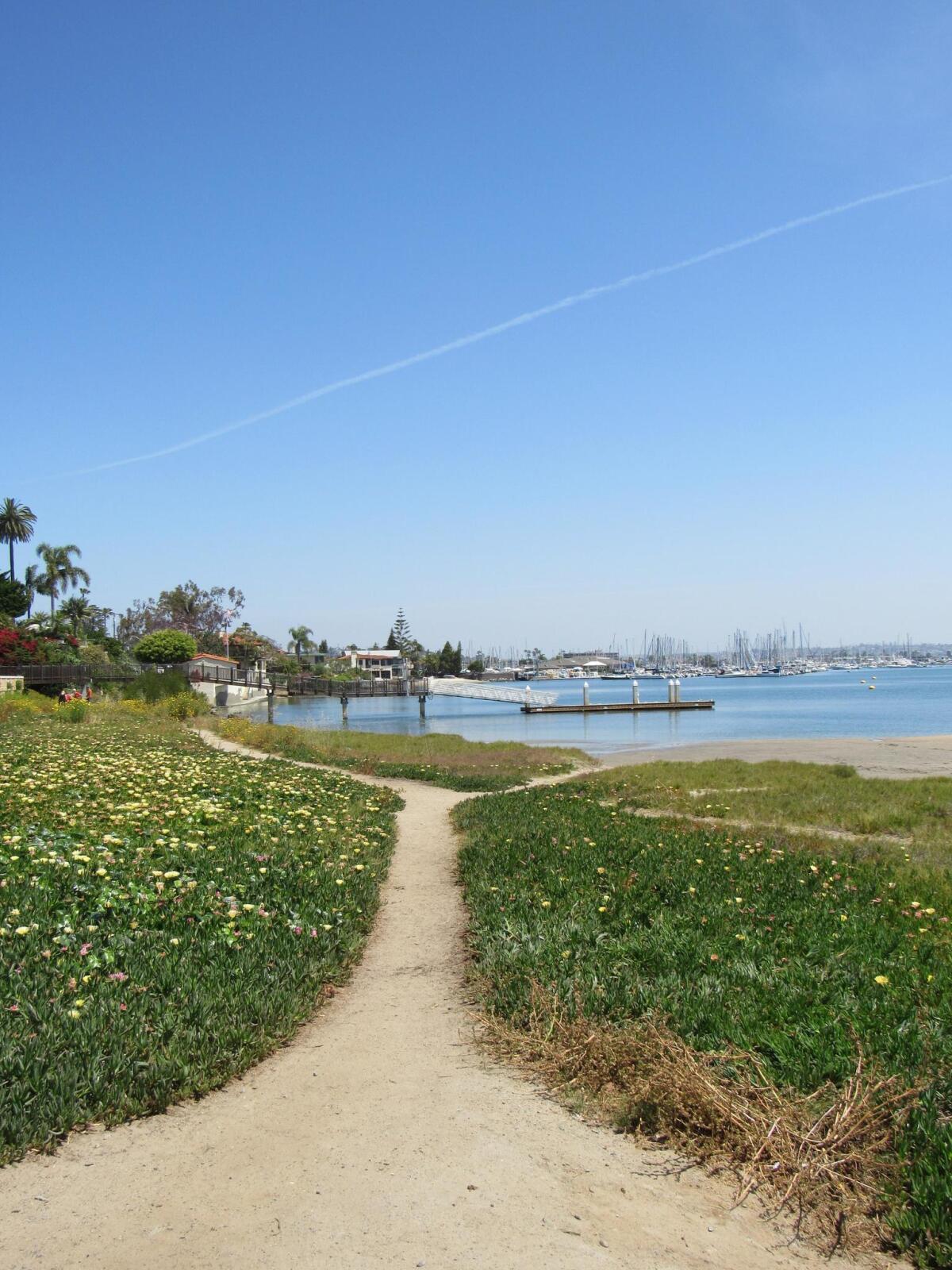 THE LONG AND WINDING ROAD ... La Playa Bayside Trail refers to the dirt path that meanders along the bay from Talbot Street to Qualtrough Street in Point Loma.