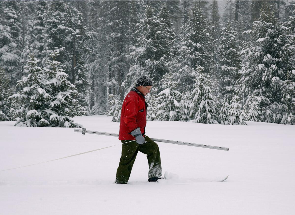 Frank Gehrke of the California Department of Water Resources surveys the snowpack near Echo Summit, Calif.