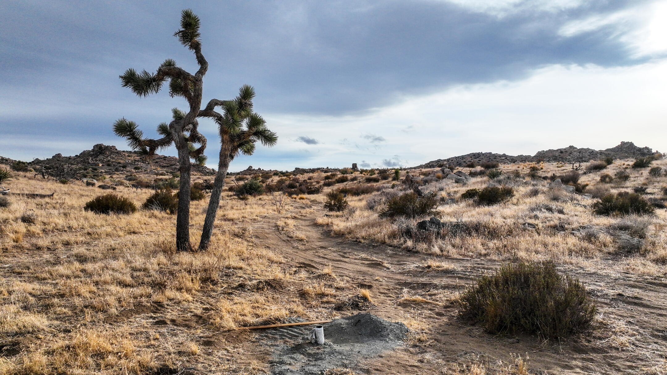 Joshua Tree Project Mysterious land purchases within Joshua Tree National Park worry locals ...