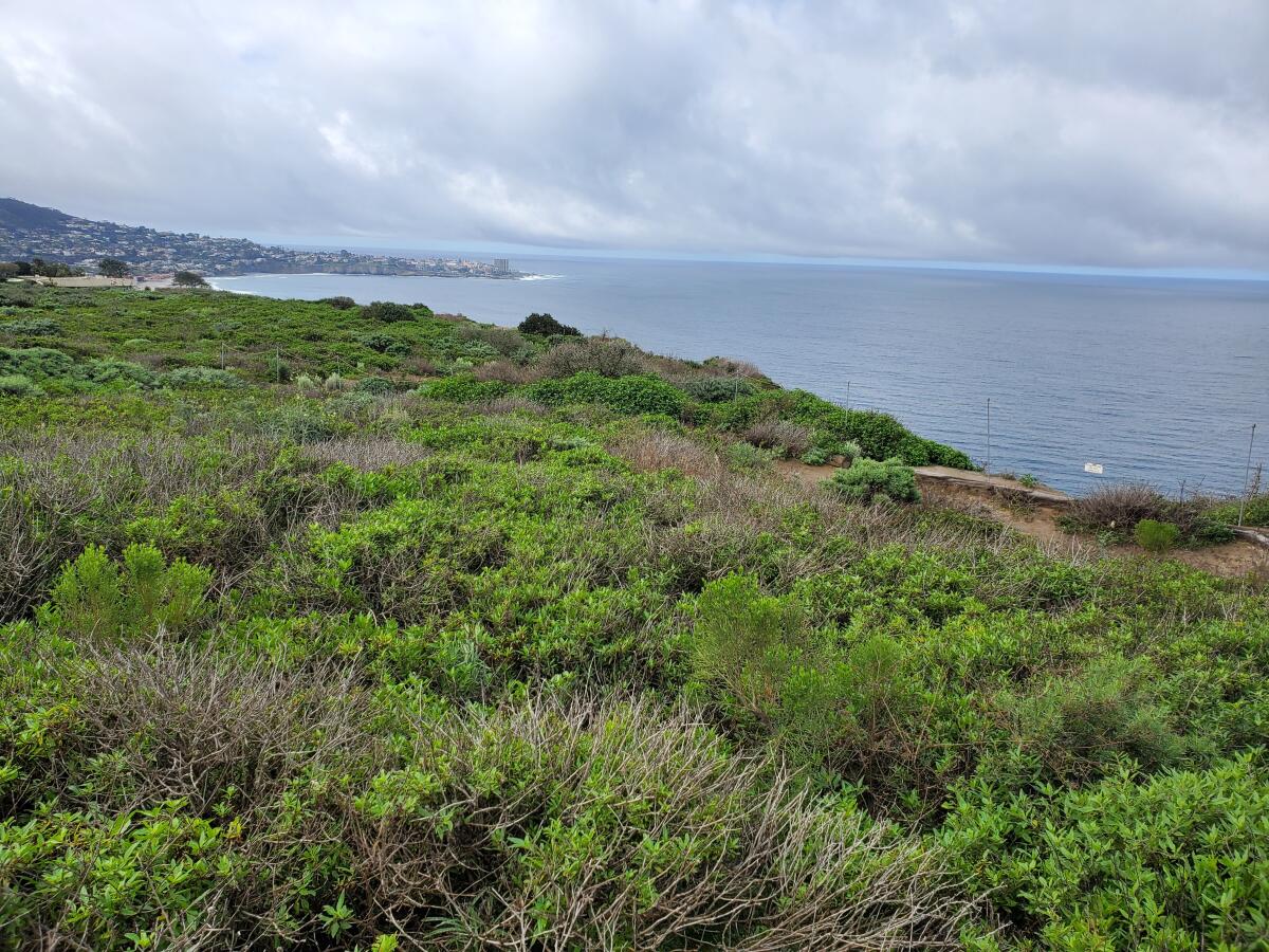 The Scripps Coastal Reserve encompasses nearly 1,000 acres adjacent to the Scripps Institution of Oceanography in La Jolla.