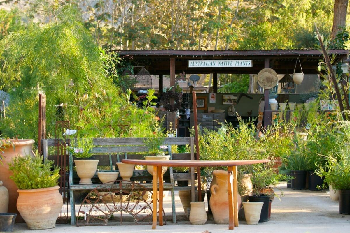 An outdoor nursery full of plants and terra cotta pots 