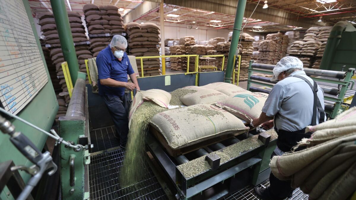 Workers pour out bags of green coffee just brought in from plantations around the world to be cleaned and prepared for production at Gaviña Gourmet Coffee in Vernon.