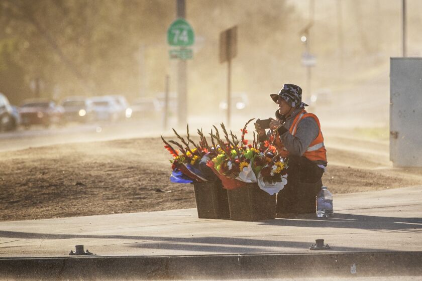 SAN JACINTO, CA - NOVEMBER 24, 2022: Juan Star uses his phone to take pictures of the powerful wind gusts blowing sand and dirt across the intersection where he is selling flowers on Thanksgiving day on November 24, 2022 in San Jacinto, California. The power is out in the area of Highway 74 and Vista Place. The San Ana winds will continue through Friday.(Gina Ferazzi / Los Angeles Times)