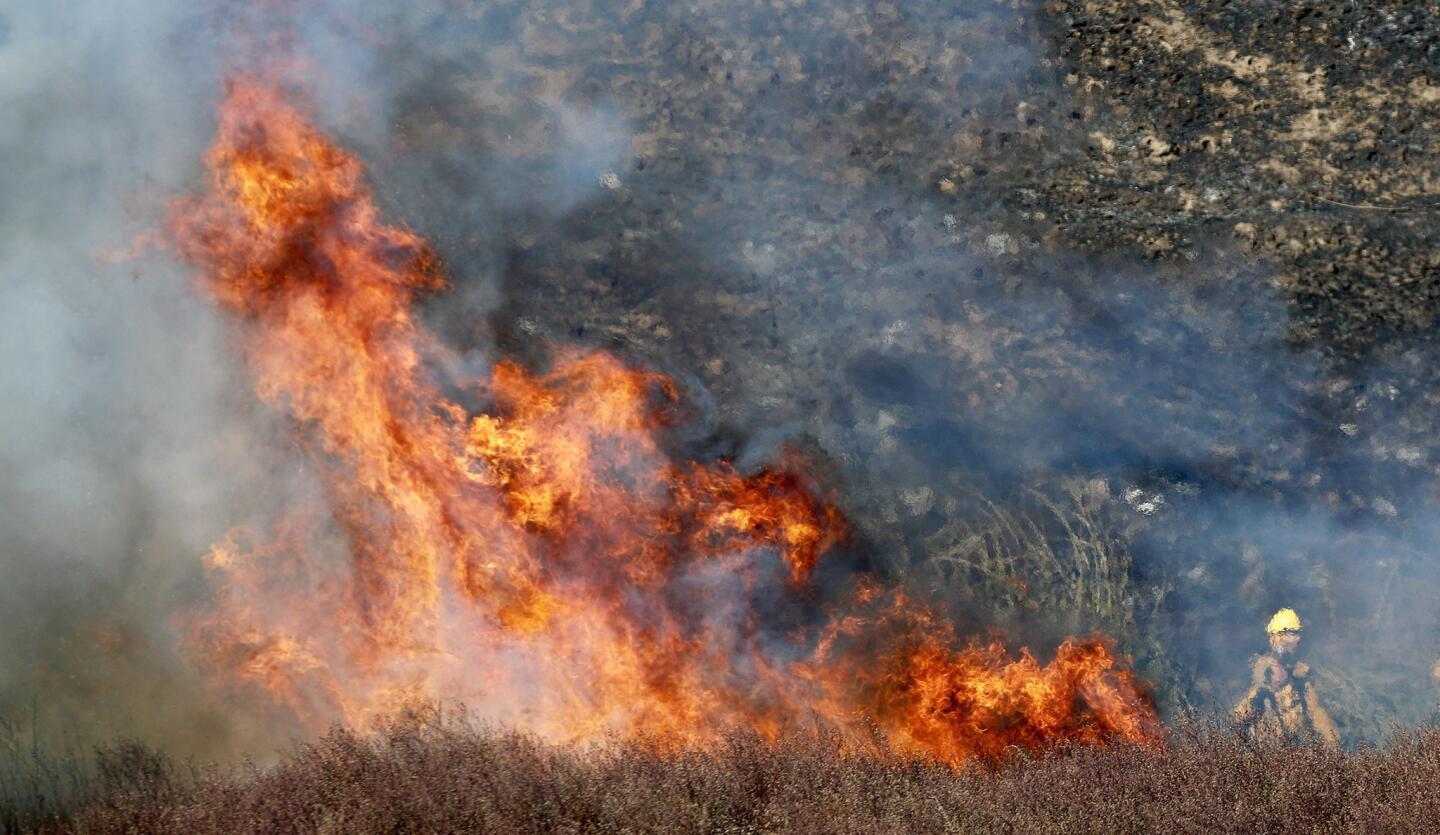 A firefighter keeps an eye on a brush fire Thursday morning near Beach Boulevard and Adams Avenue in Huntington Beach.