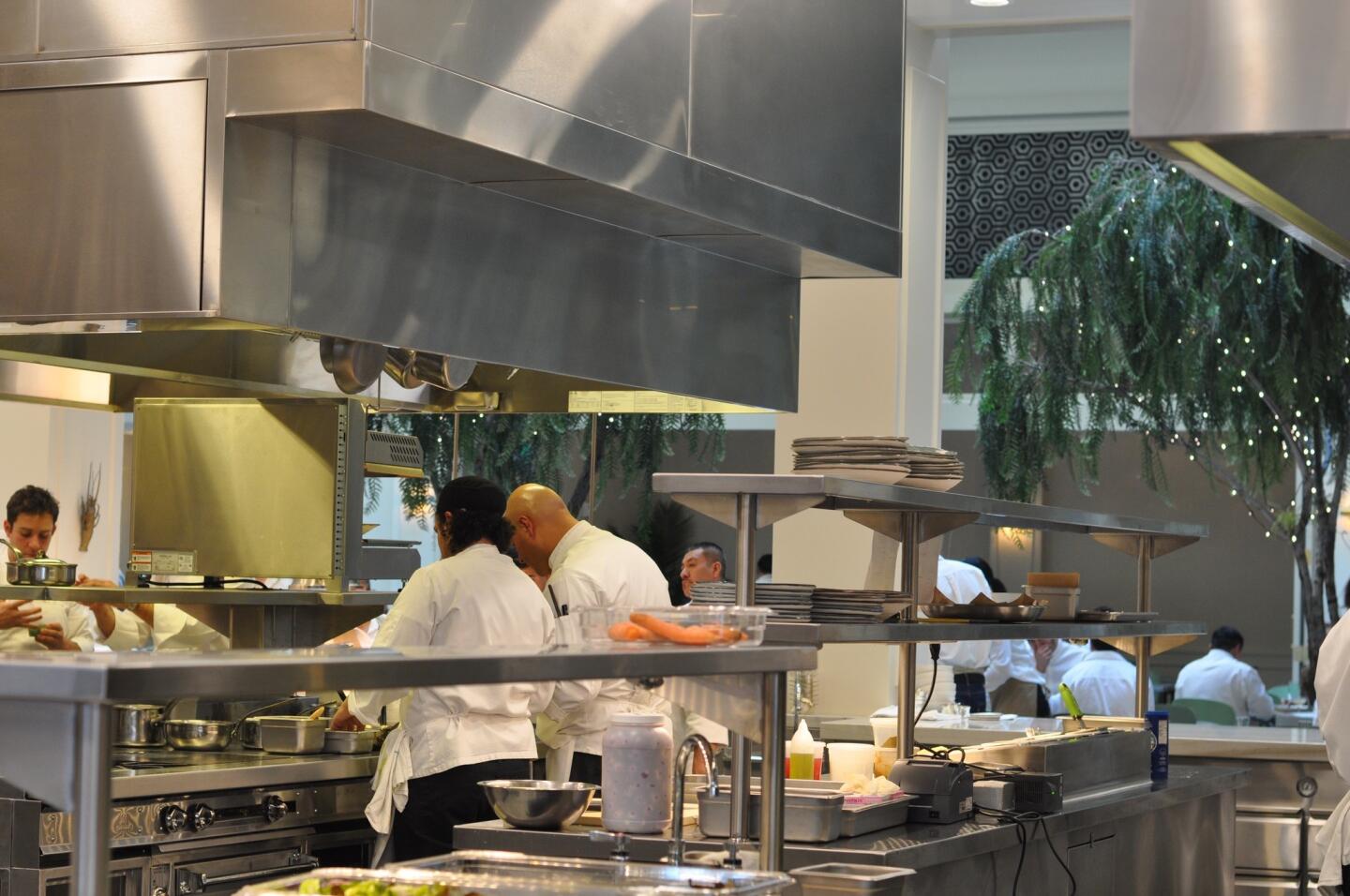 The open kitchen at Spring, though which you can see the tree-flled atrium and dining room.