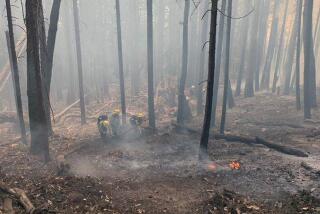 Fire crews work to contain the Six Rivers fire burning in Humboldt and Trinity Counties. 