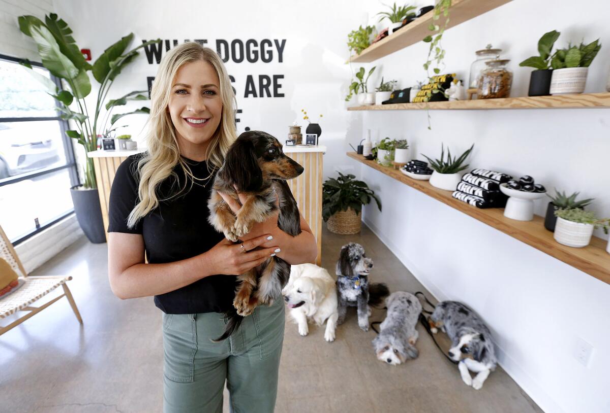Owner Jillian Parks stands in the lobby of Bark Collective before a group dog walk in Costa Mesa on Thursday.