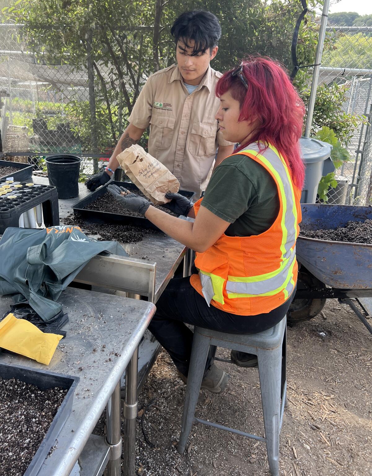 A young burgandy-haired woman, Gia Hernandez, plants seeds with a young man in a khaki shirt, Lorenzo Chavez.