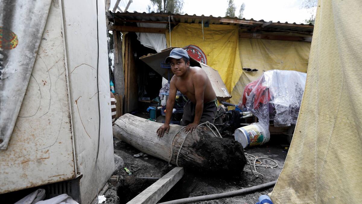 Faustino Hernandez, makes repairs to his home replacing a tree trunk used to support sheet metal in the La Conchita neighborhood of Xochimilco.