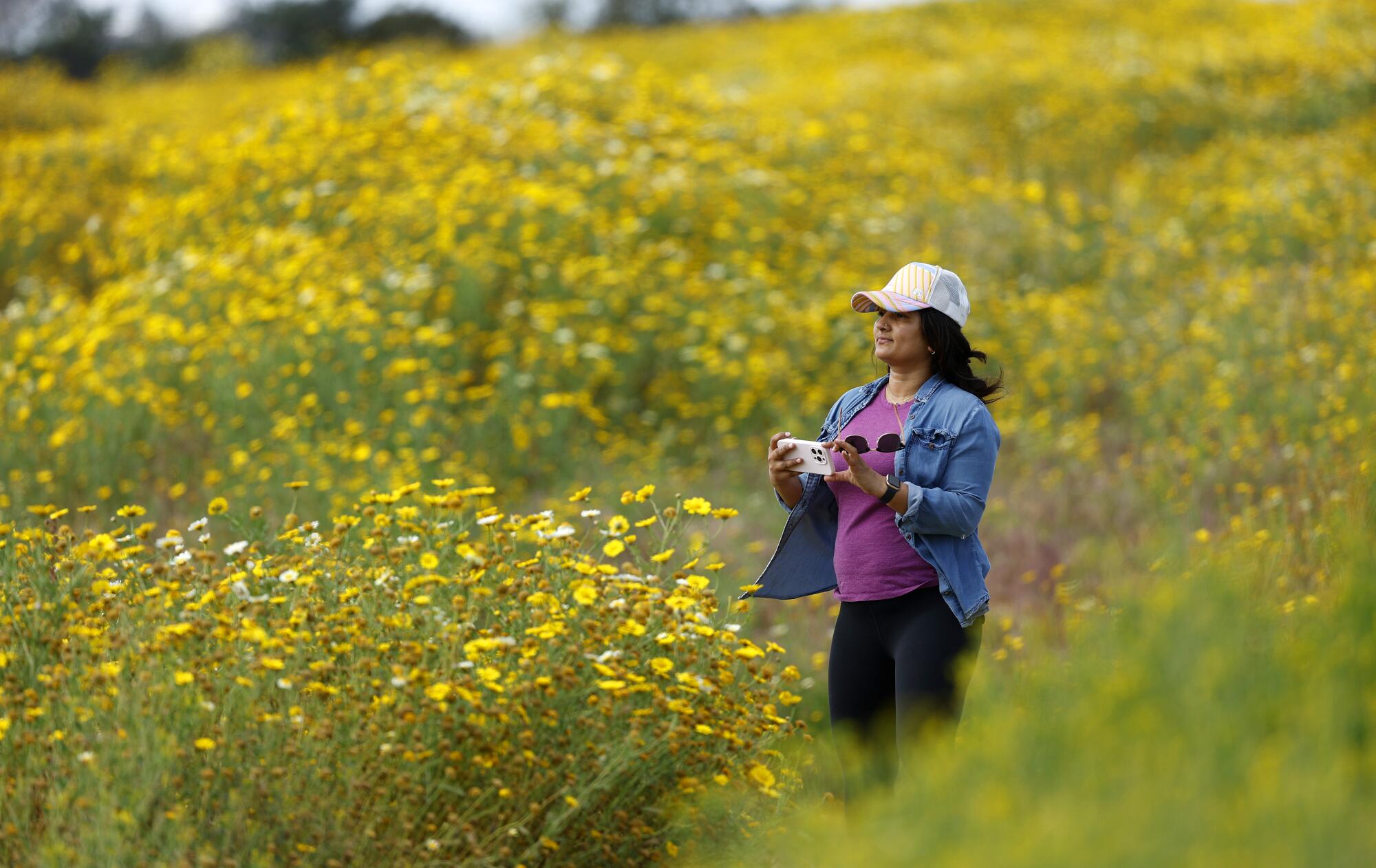 A Blooming Earth: Flowers from Every Continent: Orlandini, Diego