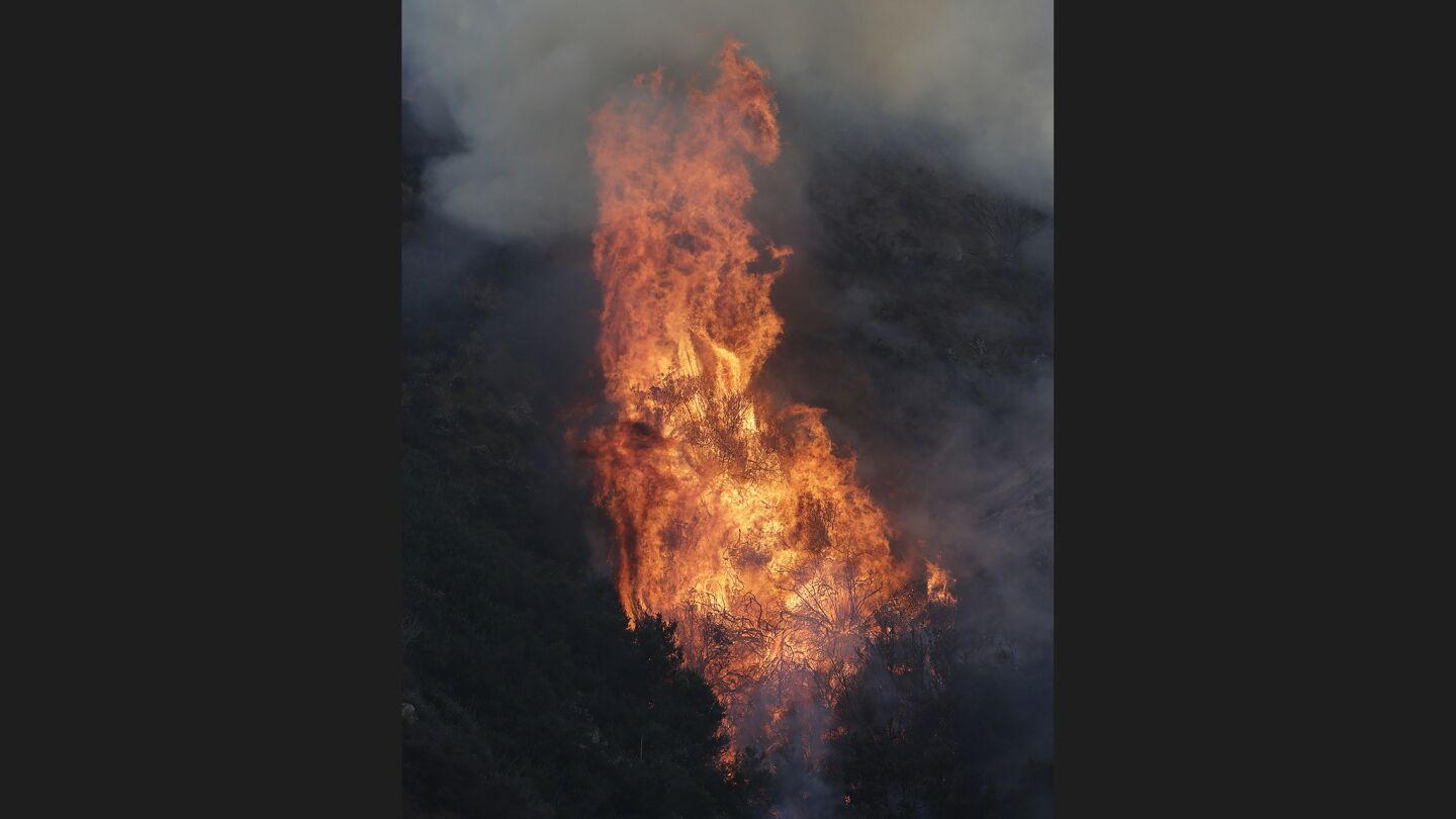 A fire burns above Spinks Canyon Road in Duarte.