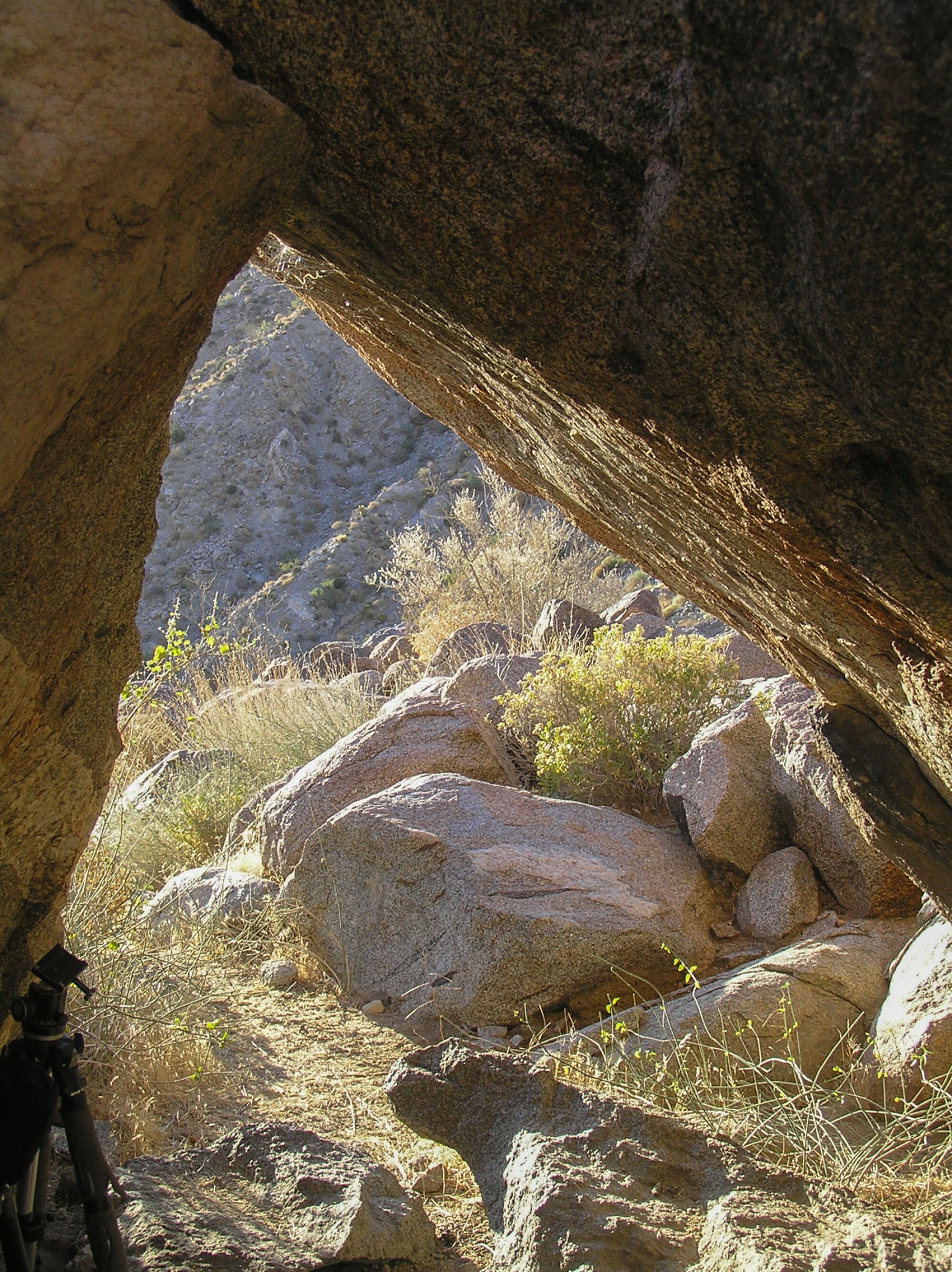Rocks and foliage seen through an opening between rocks.