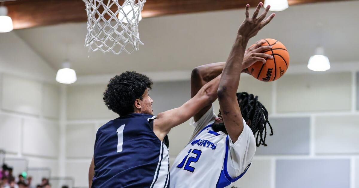 Prep talk: Tennis star Alexander Coleman becomes basketball contributor for Brentwood