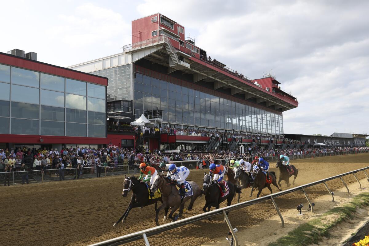 Horses compete during the Black-Eyed Susan Stakes at Pimlico Race Course in Baltimore on Friday.
