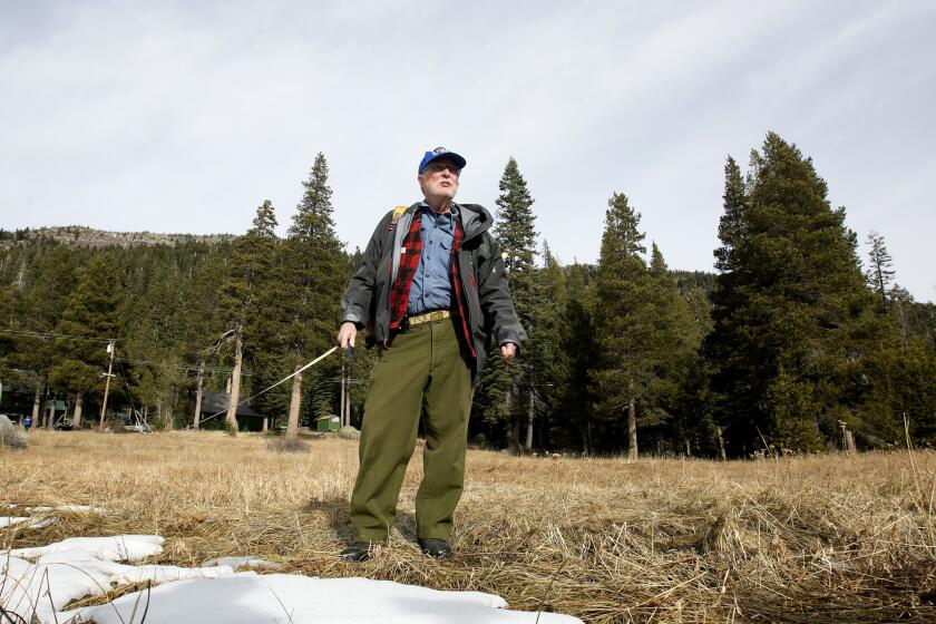 Frank Gehrke, chief of the California Cooperative Snow Surveys Program for the Department of Water Resources, looks over a nearly snow barren meadow while conducting the first snow survey of the season at the Phillips Station snow course, Wednesday, Jan. 3, 2018, near Echo Summit, Calif. The snow survey showed the snow pack at this location at 1.3 inches of depth with a water content of .4 inches. California's water managers are saying it's too early yet for fears that the state is sliding back into its historic five-year drought.(AP Photo/Rich Pedroncelli)