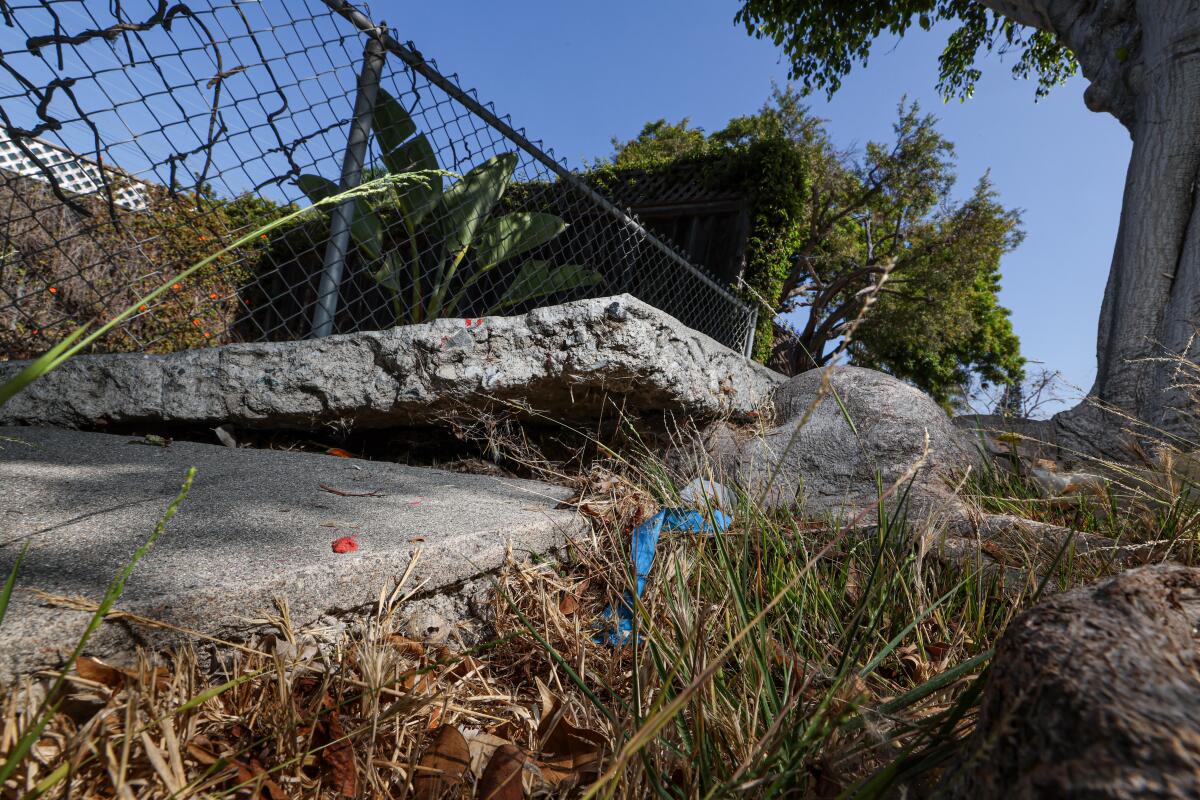 A badly damaged sidewalk in Venice on Aug. 13. 