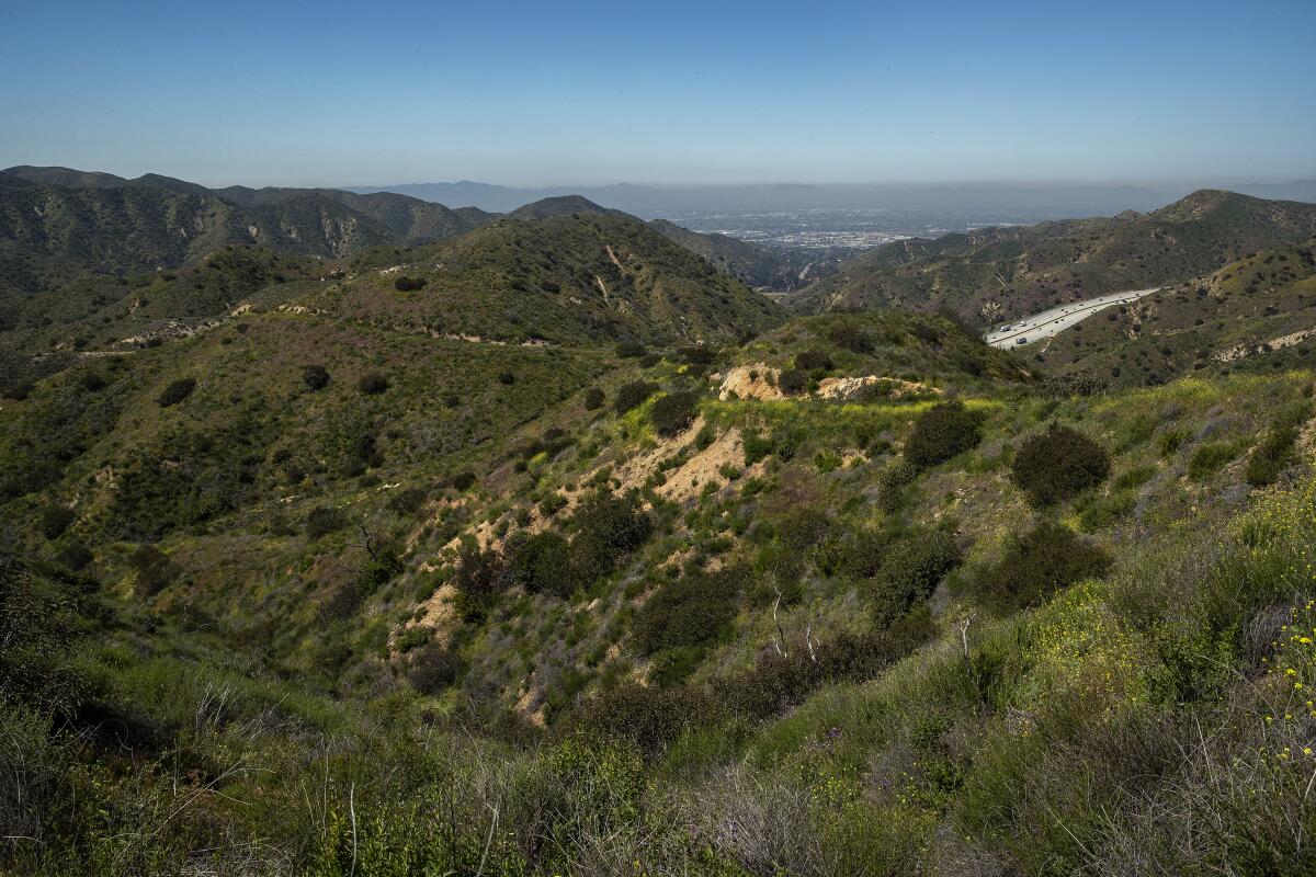 Views from the Verdugo Mountains, above the Sunland-Tujunga neighborhood.