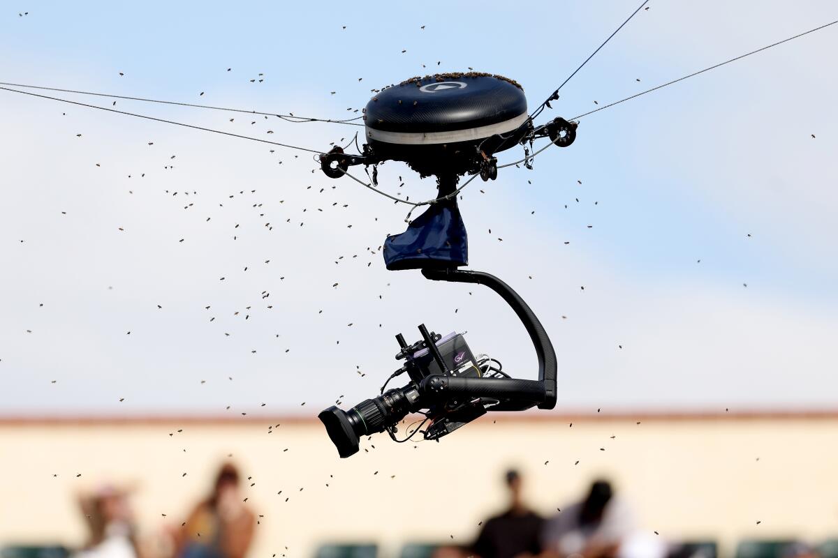 An aerial camera suspended by wires is surrounded by a cloud of bees