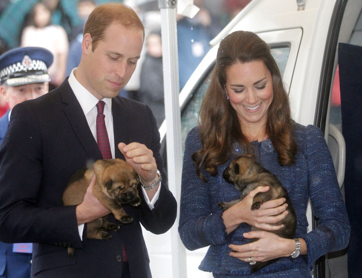 Prince William and Catherine, Duchess of Cambridge, hold puppies as they visit the Royal New Zealand Police College in Wellington on April 16.