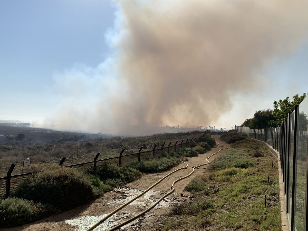 A small brush fire in the Bolsa Chica wetlands 