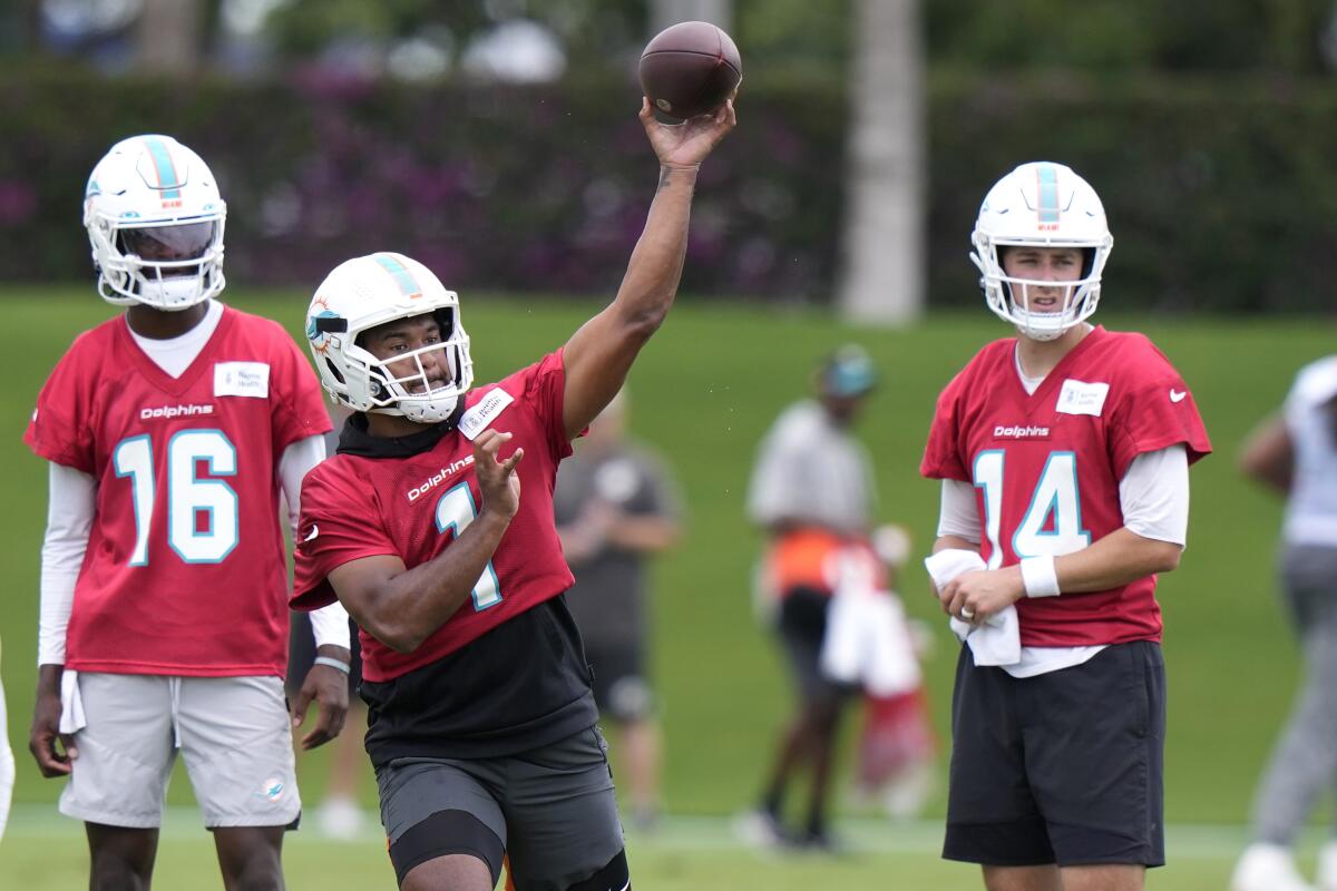 5 Miami Dolphins players fighting for their jobs at training camp