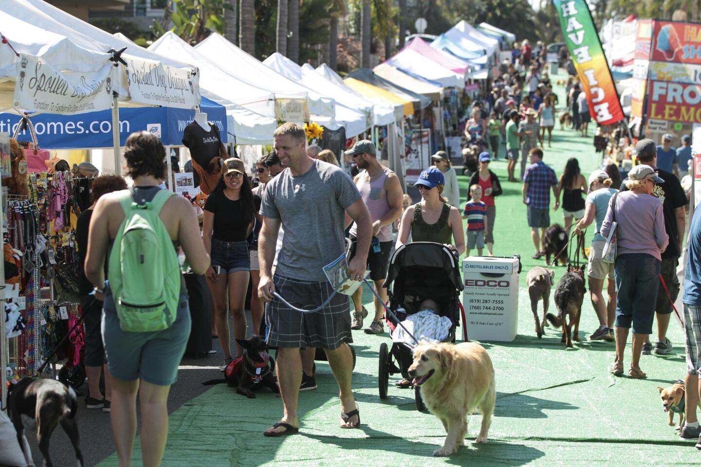 Cardiff Dog Days of Summer 2016