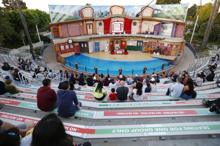 SAN DIEGO, CA - NOVEMBER 16: Patrons watch a holiday show featuring sea lions Clyde and Seamore in a spoof of a nighttime television Christmas Special at Sea World San Diego on Monday, Nov. 16, 2020 in San Diego, CA. (K.C. Alfred/ San Diego Union-Tribune)