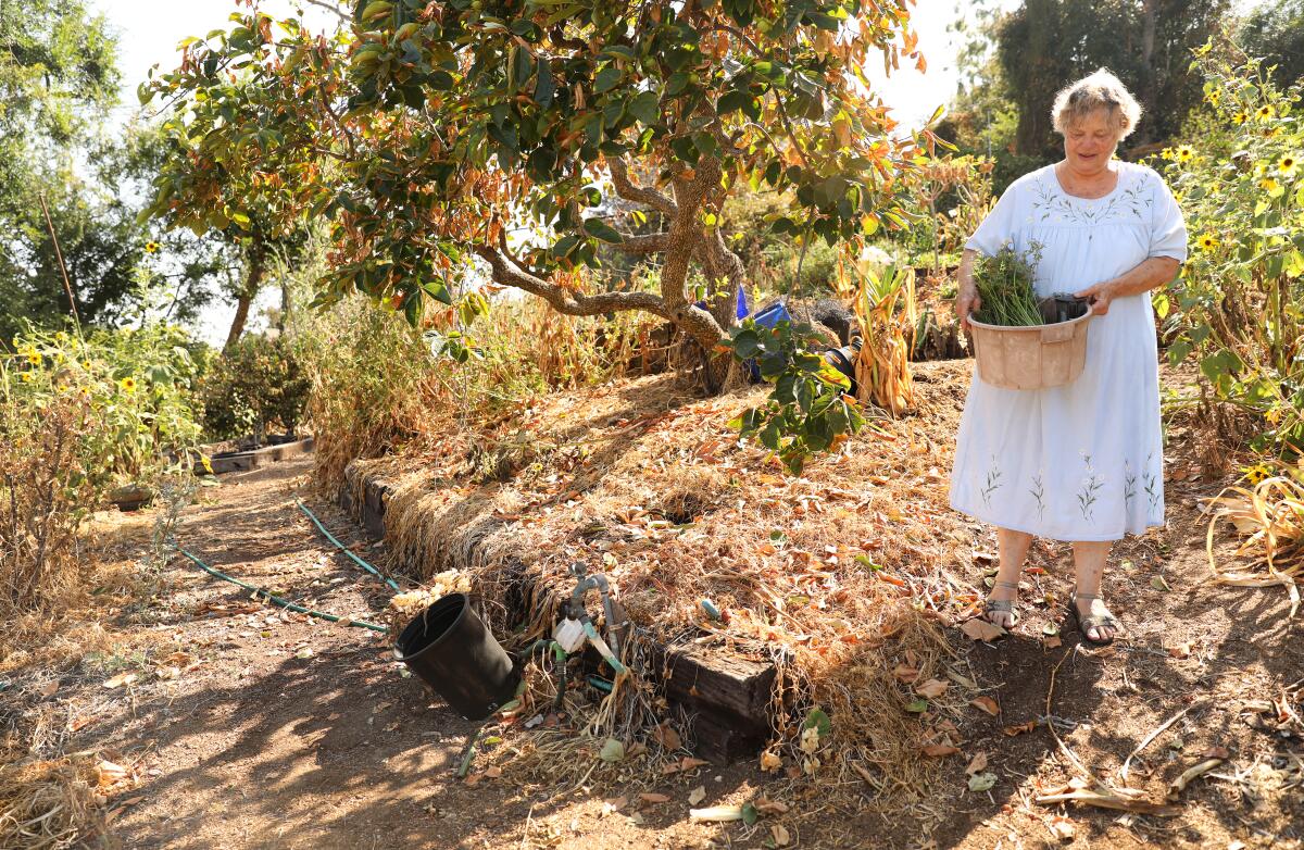 A woman stands on a hillside near plants and trees.