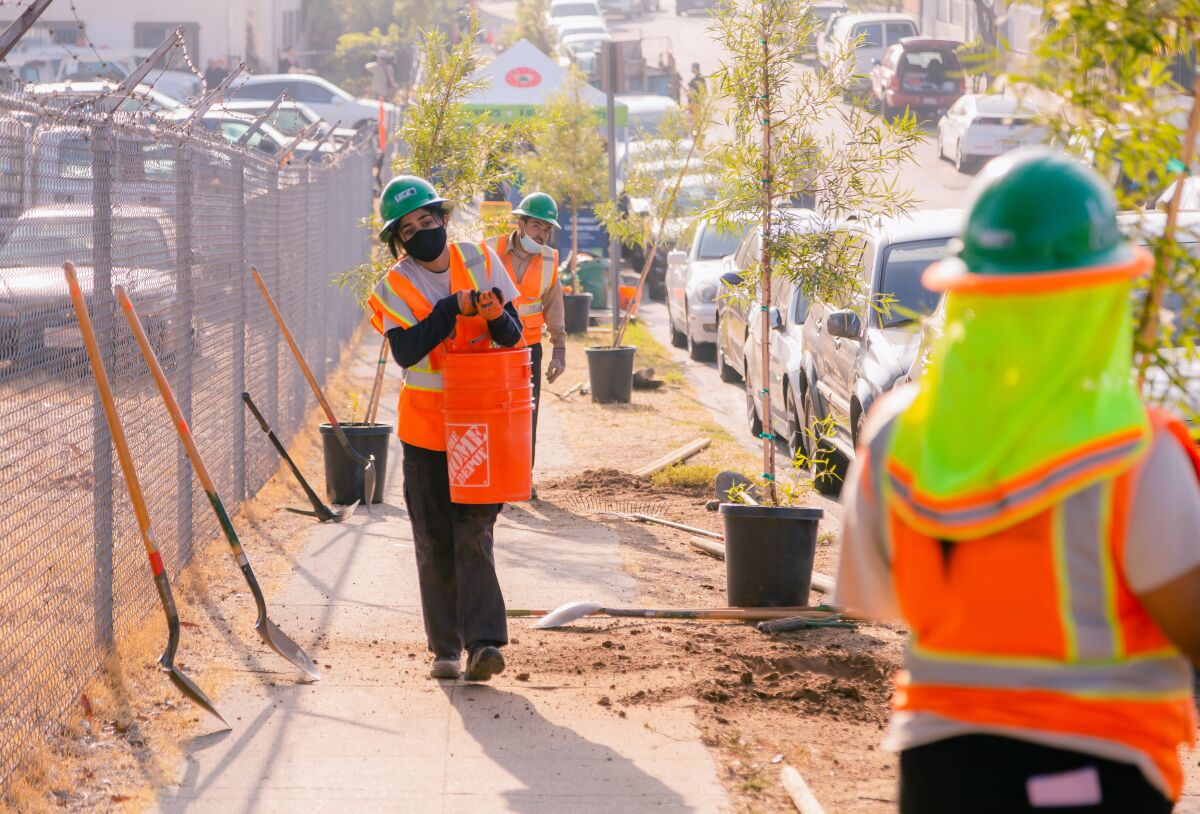 People in helmets and safety vests walk near young trees in buckets along a sidewalk.