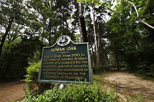Rowan Oak