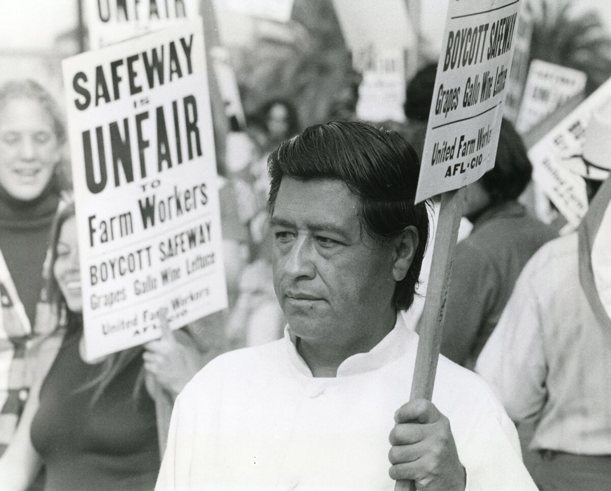 Farm labor leader Cesar Chavez pickets Safeway markets in San Diego on Oct. 23, 1973.  