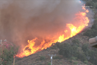 A wildfire burns behind homes in Lake Elsinore on Thursday afternoon.