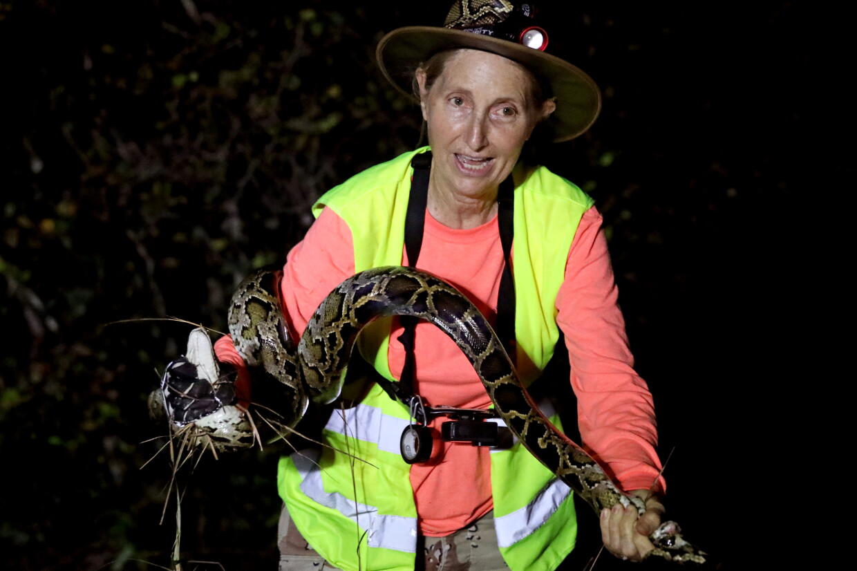 Women Vs Python Two women are top Burmese python hunters in the Everglades - Los ...