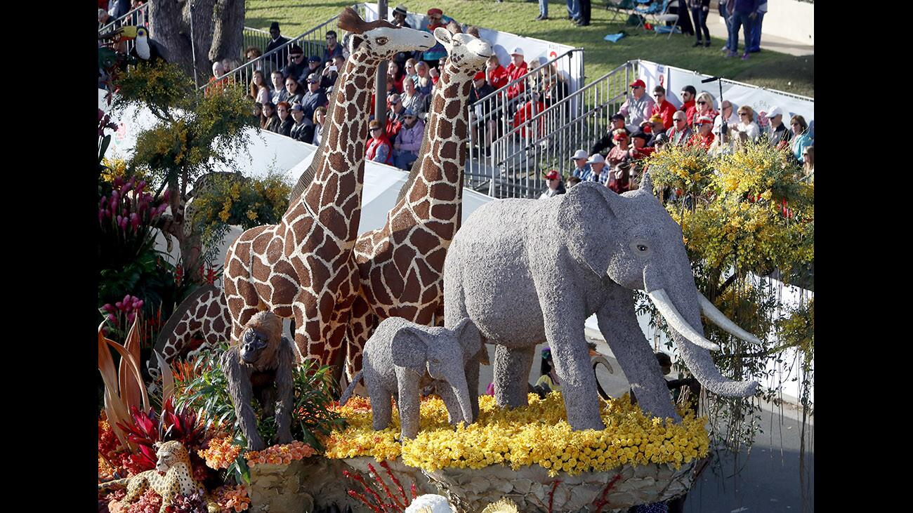 Photo Gallery: Local floats win awards at the 129th annual Tournament of Roses Rose Parade in Pasadena on New Years day